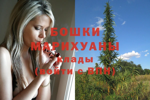 PSILOCYBIN Пересвет