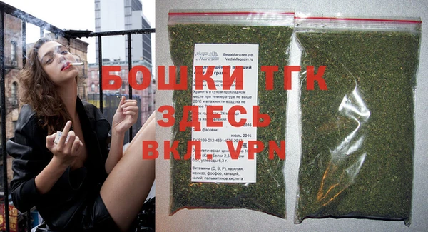прущие грибы Богданович